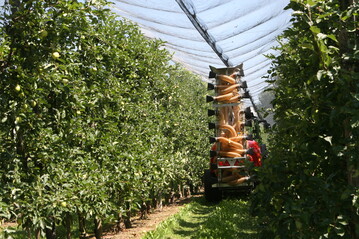 Das Biodiversittsstrkungsgesetz hat ehrgeizige Ziele gesetzt. Bis zum Jahr 2030 sollten 40 bis 50 Prozent der Pflanzenschutzmittel eingespart werden. 