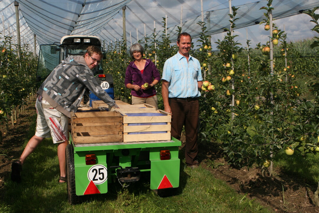 Im Vergleich zum Vorjahr rechnet man auf der Schweizer Seite des Bodensees mit einem Erntestart beim Apfel, der um eine Woche früher liegt.