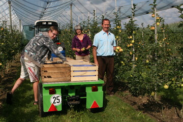 Im Vergleich zum Vorjahr rechnet man auf der Schweizer Seite des Bodensees mit einem Erntestart beim Apfel, der um eine Woche frher liegt. 