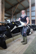 Constanze Knaupp arbeitet gerne mit Kühen