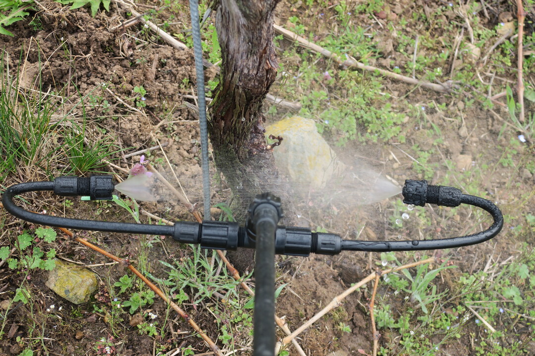 Jetzt an die Antragsstellung für Bewässerungsanlagen denken.