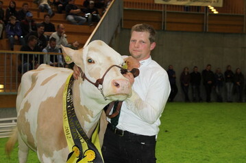 Die Beste ihrer Rasse: Die Fleckviehkuh Forewer aus der Zucht von Joachim Keller in Allmendingen krte Preisrichter Johannes Huber auf der RBW-Landesschau am vergangenen Sonntag zum Grand Champion. Die knapp fnfjhrige Kuh, die inzwischen drei Klber geboren hat, stammt vom Vererber Zasromen ab. 