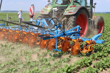 Die Schmotzer Hackmaschine ist ausgelegt für eine Arbeitsgeschwindigkeit von bis zu 15 km/h. Reihenweiten von 16 - 200 cm sind auf einer Arbeitsbreite von maximal 24 m möglich. Mit Gänsefußmessern und Fingerrädern kann zwischen und in der Reihen gehackt werden. Auch lassen sich Striegelelemente an die Parallelogramme ausrüsten. Die automatische Reihenführung erfolgt mittels Claas Optitronic oder der hauseigenen Schmotzer Okio Kamerasteuerung.