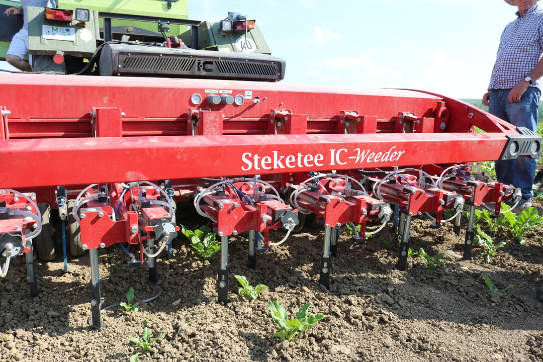 Auch beim IC-Weeder von Steketee sitzt ber jeder Pflanzreihe eine Kamera mit Scheinwerfer. Um Strgerusche zu vermeiden, sind diese hier jedoch vollstndig abgeschirmt. 