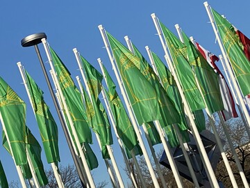 Fahnen der Grnen Woche