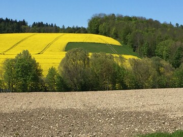 Baden-Wrttemberg