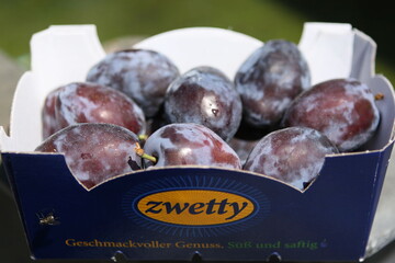 Mengenmig fllt der Anteil der ber das Markenprogramm Zwetty abgesetzten Frchte nicht ins Gewicht. Doch es ist ein Versuch, die Dumpingpreise fr das Steinobst zu umgehen. 
