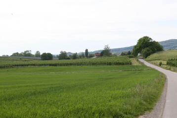 Pachtpreise fr Flchen steigen