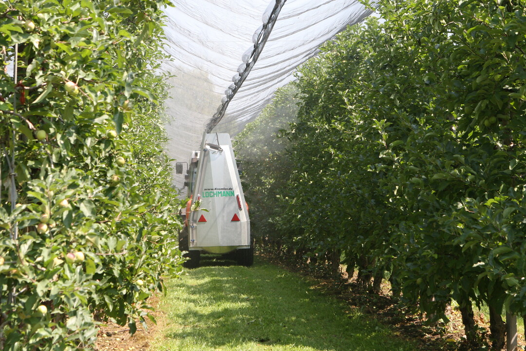 Nach der Ausbringung von Pflanzenschutzmitteln soll knftig strenger geregelt werden, mit welcher Schutzausrstung Arbeiter nachfolgende Ttigkeiten durchfhren knnen. 
