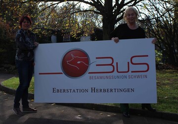 Druckfrisch: Mit einem neu konzipierten Werbeschild dokumentiert die Eberstation Herbertingen ihre Zugehrigkeit zur bundesweiten Besamungsunion Schwein, die das Besamungseber-Angebot der German Genetic-Stationen bndelt. Ziel: Schnellerer Zuchtfortschritt, wie Gabi Bullan (l.) und Stationsleiterin Dr. Beate Schumann (r.) deutlich machen.