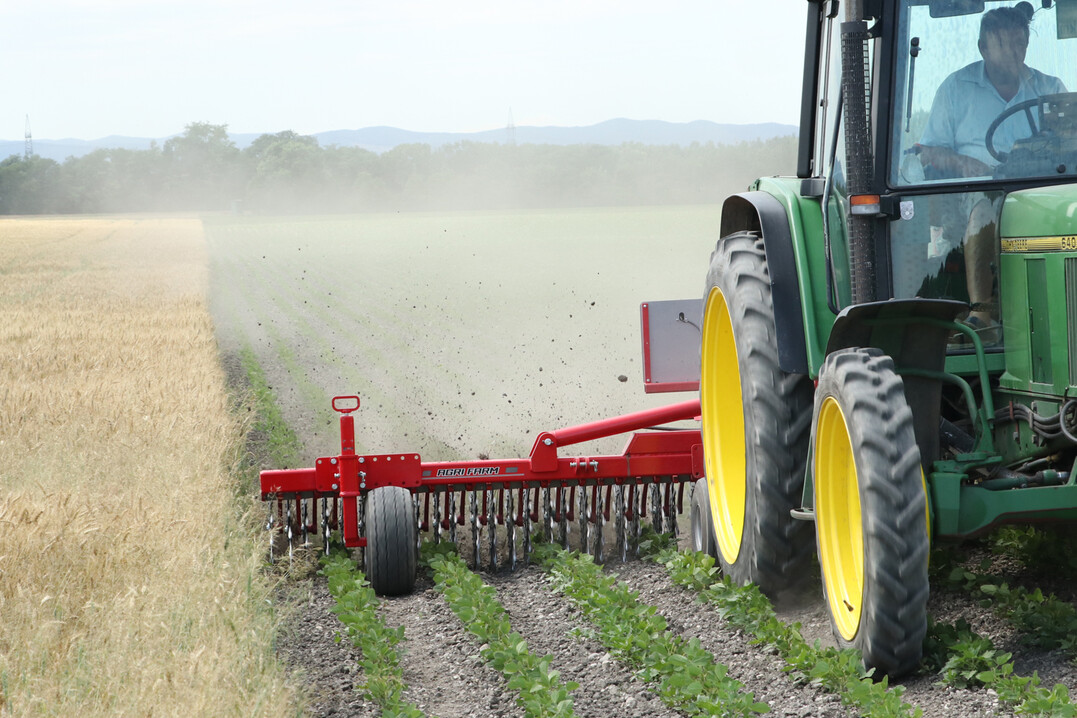 Die Rollhacke Bio Plus von Agri Farm kann sich Dank der Einzelaufhngung der Rotorsterne individuell der Bodenkontur anpassen.