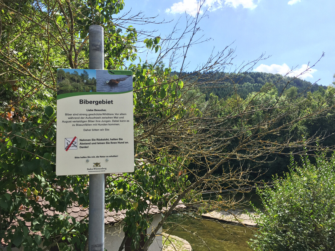 Bibergebiet