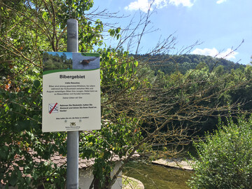 Bibergebiet