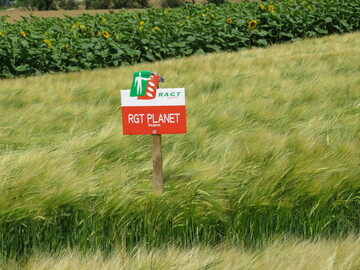 Die Gerste Planet ist eines der Flaggschiffe von RAGT