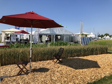 Schatten gesucht. Stand des MLR BW