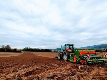 Aussaat von Winterweizen im Oktober 2020.