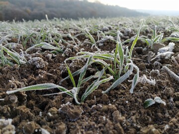 Hier war es schon deutlich kälter als minus drei Grad.