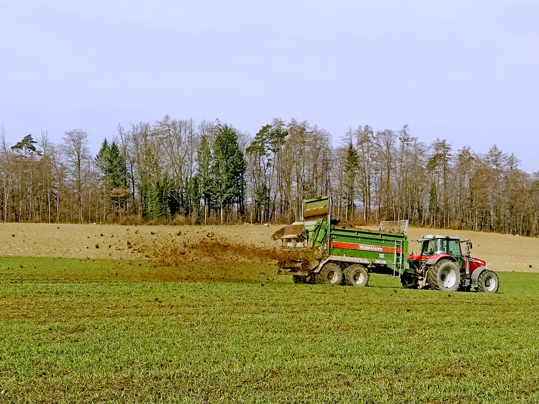 Hier wird Kleegrassilage mit einem Miststreuer aufgebracht, um das C/N-Verhältnis zu erhöhen.