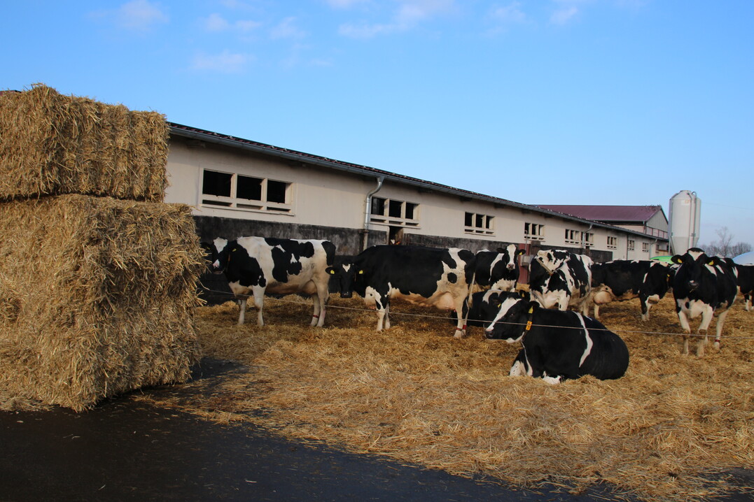 Die Landwirte werden zu Themen wie Tierhaltung, Hofnachfolge und ökologisch bewirtschafteten Flächen befragt.