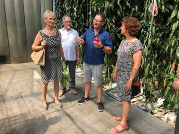 Die Staatssekretärin Gurr-Hirsch (1.v.l.) mit der Landtagsabgeordneten Dorothea Wehinger (1.v.r.) bei der Führung durch die Anlage der Gemüsesiedlung.