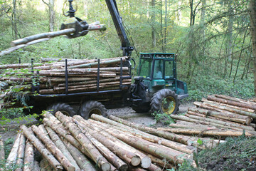 Durch die Ausgliederung eines Staatsforstbetriebes bei gleichzeitiger Kommunalisierung von Aufgaben im Krperschaftswald soll die vom Bundeskartellamt geforderte strukturelle Trennung des Holzverkaufes vollzogen werden.