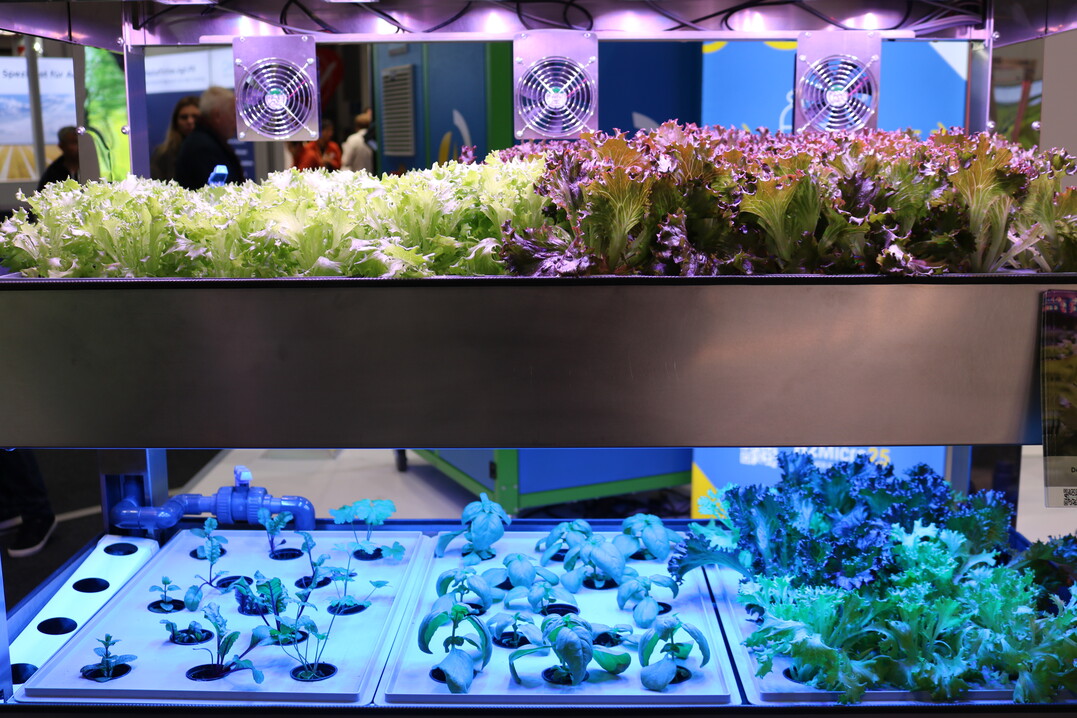 Indoor Farming: Mithilfe einer Knstlichen Intelligenz (KI) wachsen die Pflanzen bei der Firma Greenhub.