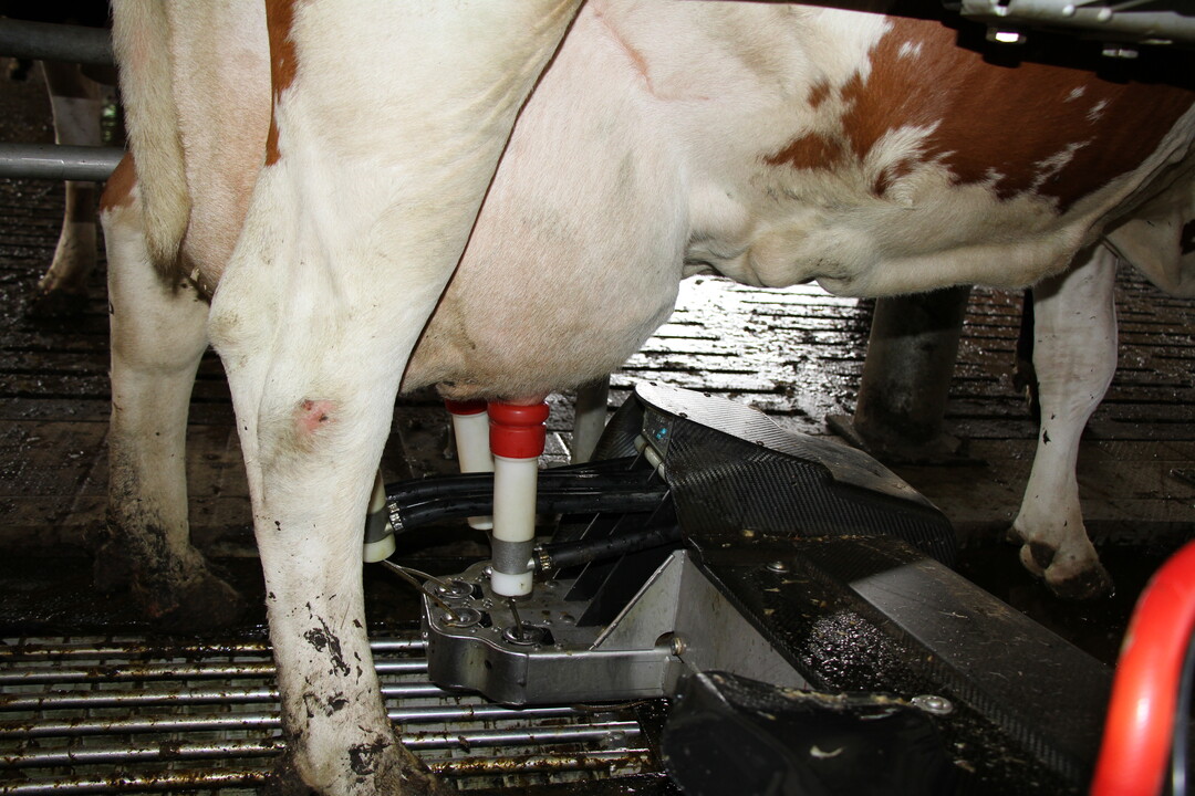 Jeder Akteur ist gefordert: Landwirte sollen weiterhin auf eine verantwortungsvolle, ressourcenschonende Qualitätsproduktion setzen.