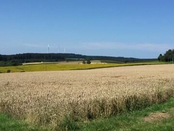 Magische Zahl: Vor allem kleine Ackerflchen unter sechs Hektar erhhen die Biodiversitt.