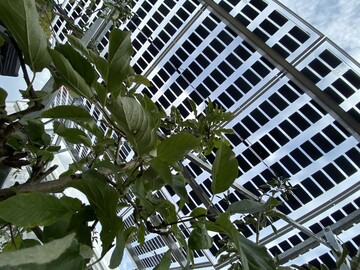 Agri-PV Anlage