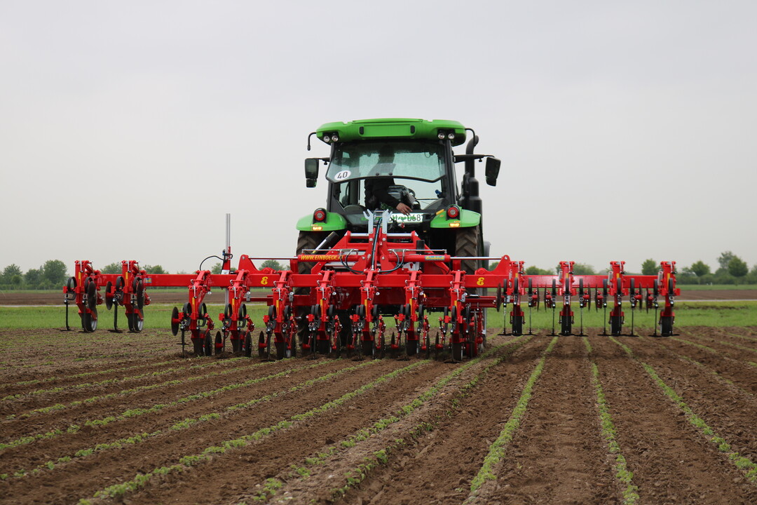 Der RowGuard von Einbck analysiert die Kamerabilder auf Stellen mit hoher Konzentration an grnen Farbpunkten. So erkennt das System die Kulturpflanzen und passt den Verschieberahmen entsprechend an.