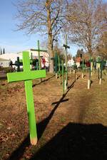 53 grüne Kreuze stellten die Landwirte vor Ellwangens Stadthalle auf. Sie stehen als Symbol für jene 53 Betriebe die im Durchschnitt jedes Jahr im Ostalbkreis für immer ihre Hoftore schließen.