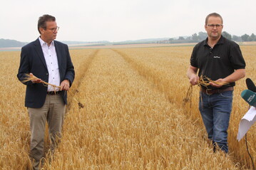 Agrarminister Peter Hauk und Bauernverbandsvorsitzender Jrgen Maurer (v. l.) geben einen ersten Ausblick auf die Ernte 2020 und berichten von den Schden, die Sptfrste in der Gerste angerichtet haben. 	