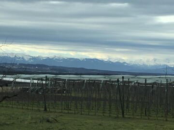 Landschaft am Bodensee