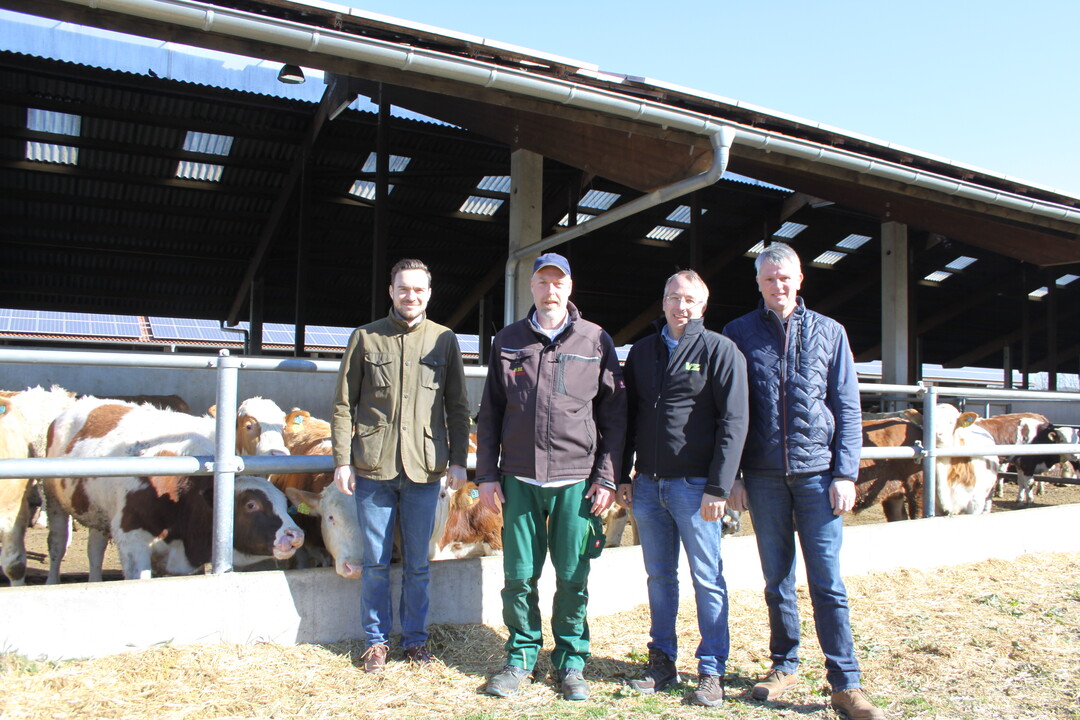 Mastrinder aus der Region fr die Region: Anlagen wie der Kooperationsbetrieb Rindermast und Bioenergie (RBE) in Buch bei Bad Waldsee soll es laut den Initiatoren bei der VZ schon bald mehrere geben (v. l.): Dr. Sebastian Hill, VZ-Geschftsfhrer, RBE-Geschftsfhrer Matthias Mller, Dr. Holger Mathiak, VZ-Geschftsstellenleiter und Geschftsfhrer des Klber-Kontors Sd (KKS) in Bad Waldsee sowie VZ-Aufsichtsratsvorsitzender Dr. Reinhard Funk setzen auf das gemeinschaftliche Modell aus Erzeugung, Handel und Vermarktung.
