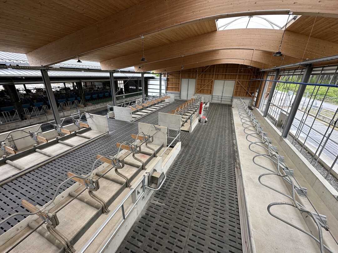 Etwa 150 m2 planbefestigter Laufhof stehen den Tieren zur Verfgung, der ohne Abstze und Treppen gestaltet wurde. Die Entmistung erfolgt ber einen stationren Schieber mit Kettenantrieb.
