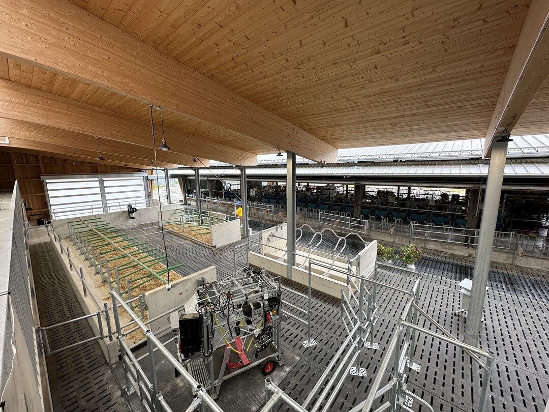 Insgesamt ist der Stall in fnf Bereiche aufgeteilt. So wurden 49 Liegeboxen fr laktierende Khe geplant; zehn Liegeboxen fr Frischmelkende und acht Liegeboxen fr trockenstehende Khe. Eine grozgige Abkalbebox steht ebenfalls zur Verfgung. Die Liegepltze bestehen aus Tiefboxen in Lngsanordnung und werden mit Stroh-Mist-Matratzen ausgestattet. Jede Tiergruppe verfgt zudem ber eine eigene Putzbrsten frs Wohlbefinden und Wassertrge mit Schnellablauf. In einem Seperationsbereich finden weitere Tiere Platz. Letzterer ist so angeordnet, dass mit Austritt aus dem Melkroboter die Tiere ber ein Tor separiert werden knnen. Alle Gruppen knnen durch die intelligente Aufteilung des Stalles an einem Futtertisch fressen. Das bringt Arbeitserleichterung fr die Mitarbeiter. Von den insgesamt 72 Fresspltzen wurden 45 mit Selbstfangfressgitter mit Fressplatzteiler ausgestattet, was neben mehr Ruhe fr rangniedere Tiere vor allem fr Sauberkeit vor dem Freplatz sorgt.