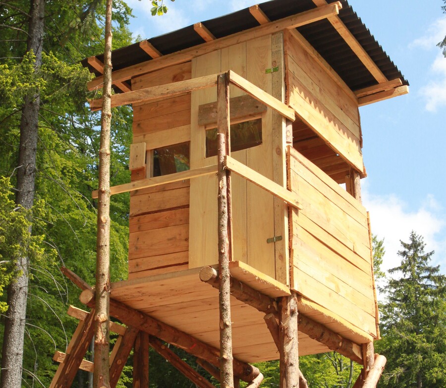Sicherheit beim Hochsitzbau BWagrar BWagrar