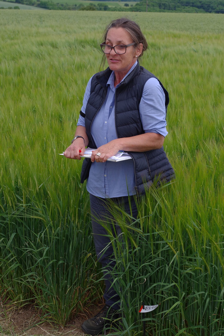 Maria Mller-Belami vom LTZ vor einem Feld mit Braugerste.