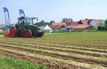 kofeldtage in der Nhe von Kassel. Besucher besichtigen ein Karottenfeld vor der Hessischen Staatsdomne Frankenhausen.
