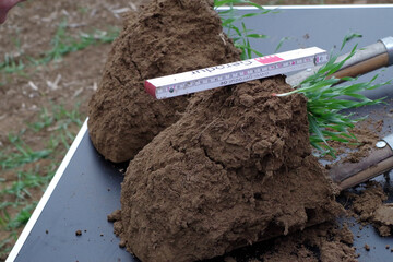 Einen schnellen berblick ber den Boden soll das neue Buch eines Hohenheimers Wissenschaftlers bieten.