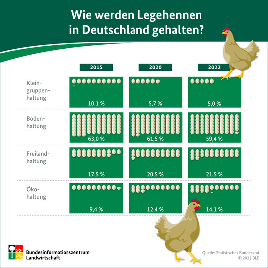 Die aktuelle BZL-Infografik beschftigt sich mit der Frage, wie Legehennen in Deutschland gehalten werden.