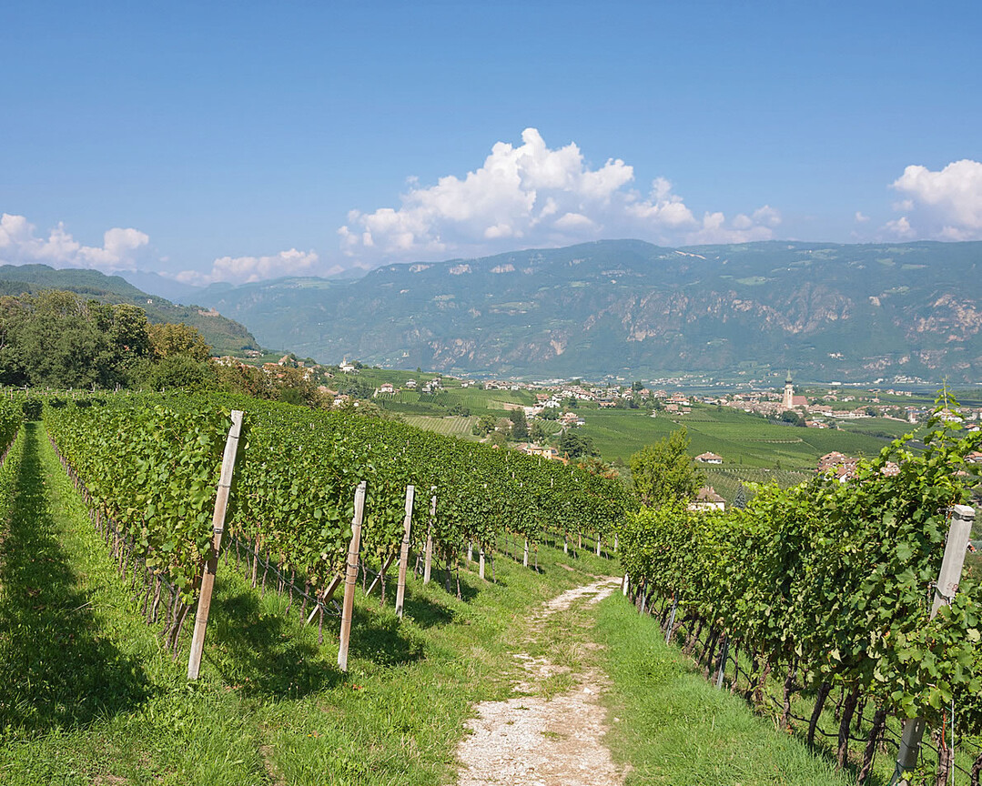 An der S�dtiroler Weinstra�e liegt der bekannte Ort Eppan.