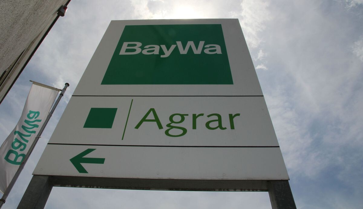 BayWa erhöht die Dividende BWagrar BWagrar