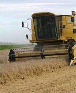 Der Deutsche Raiffeisenverband hebt seine Mai-Ernteschätzung im Vergleich zum April 2013 an.