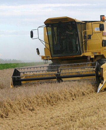 Der Deutsche Raiffeisenverband hebt seine Mai-Ernteschtzung im Vergleich zum April 2013 an.