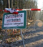 Nach dem Orkantief Xynthia sollte die Aufarbeitung des Sturmholzes Vorrang haben.