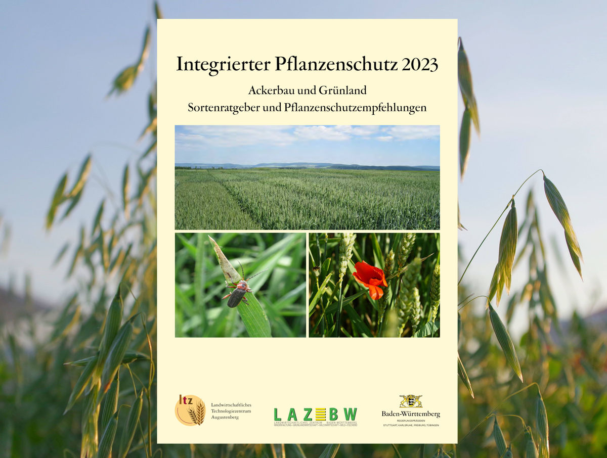 Merkblatt Integrierter Pflanzenschutz 2023