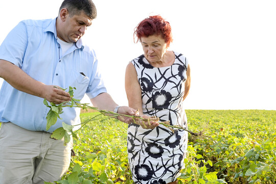 kolandwirtin Valerija Balint und Bane Jeremov, Direktor Lieferketten bei der Initiative Donau Soja.