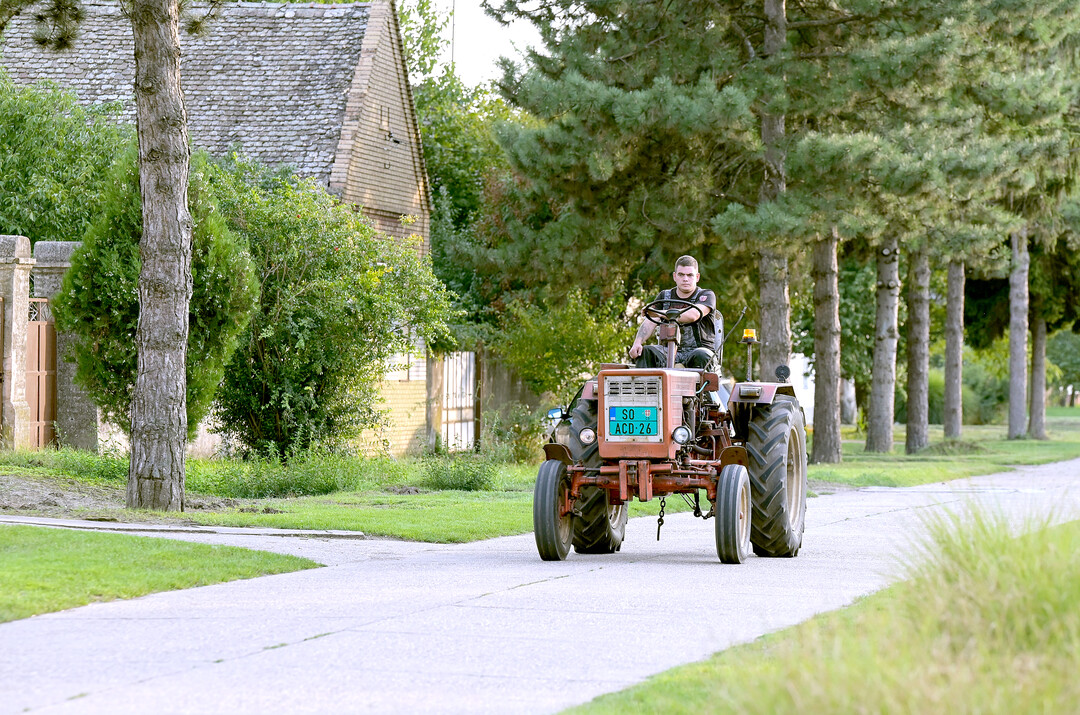 Region Vojvodina, donauschwbisches Dorf Telecka.