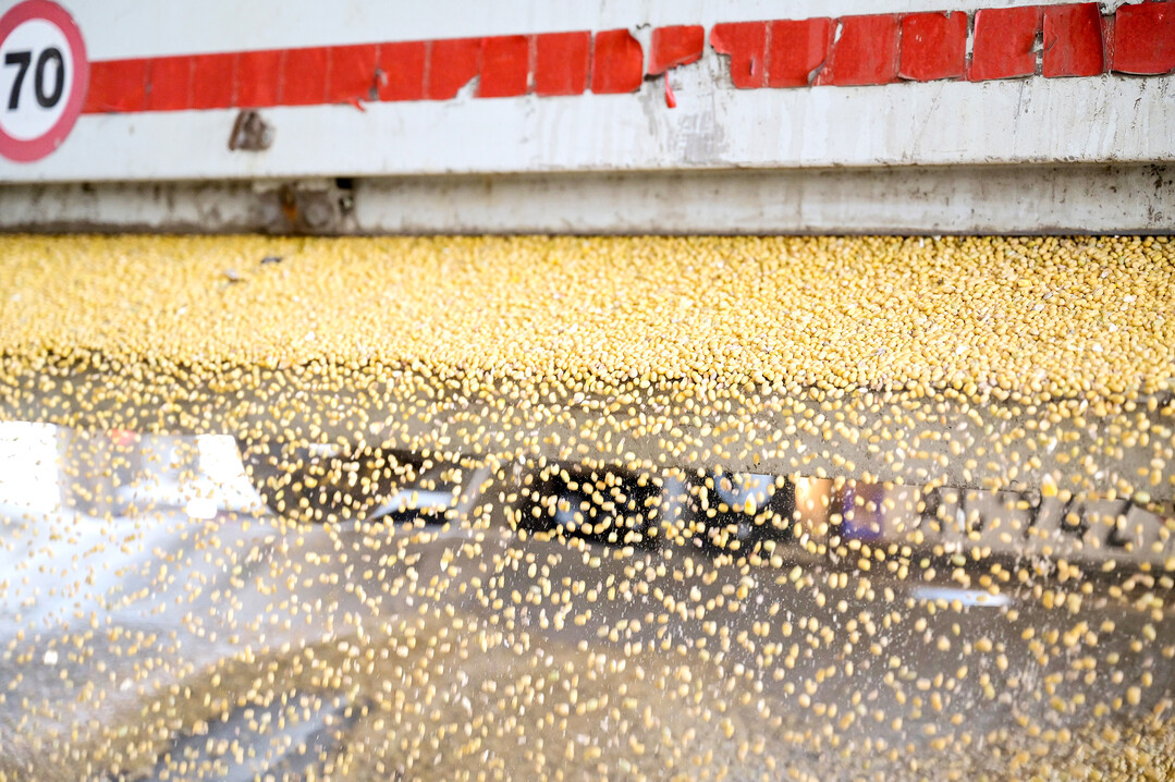 Sojaanlieferung an die lmhle Bankom der Initiative Donau Soja in Obrenovac, Region Vojvodina.